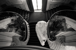 Alex Paul wedding photographer from United States