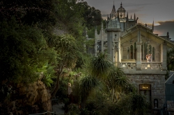 Darrell Fraser wedding photographer from South Africa