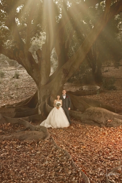 Paul Lambourne wedding photographer from Australia