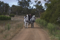 Paul Lambourne wedding photographer from Australia