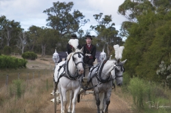 Paul Lambourne wedding photographer from Australia